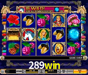 VIP Casino 289win